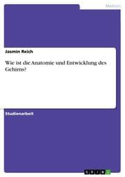 Cover von Wie ist die Anatomie und Entwicklung des Gehirns?