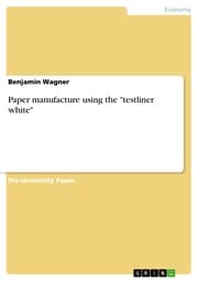 Cover von Paper manufacture using the 'testliner white'