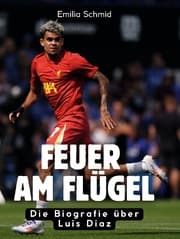 Cover von Feuer am Flügel