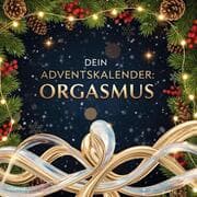 Cover von Dein Adventskalender: Orgasmus