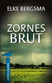 Cover von Zornesbrut