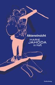 Cover von Akteneinsicht