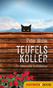 Cover von Teufelskoller