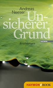Cover von Unsicherer Grund