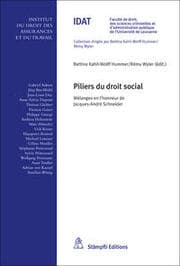 Cover von Piliers du droit social
