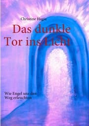 Cover von Das dunkle Tor ins Licht