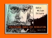 Cover von Spaziergang durch die Revolution