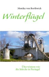 Cover von Winterflügel