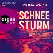 Cover von Schneesturm