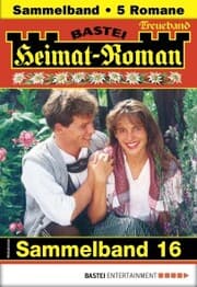 Cover von Heimat-Roman Treueband 16