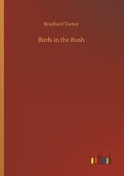 Cover von Birds in the Bush