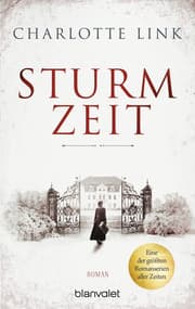 Cover von Sturmzeit