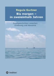 Cover von Bis morgen - in zweieinhalb Jahren