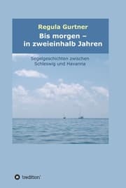 Cover von Bis morgen - in zweieinhalb Jahren
