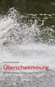 Cover von Überschwemmung