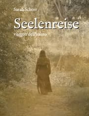 Cover von Seelenreise