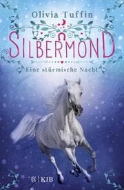 Cover von Silbermond: Eine stürmische Nacht
