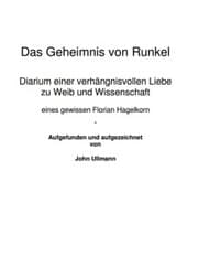 Cover von Das Geheimnis von Runkel