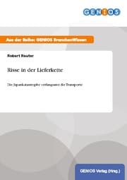 Cover von Risse in der Lieferkette