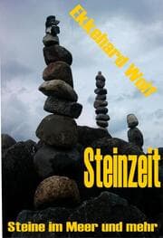 Cover von Steinzeit