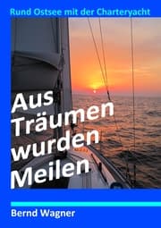 Cover von Aus Träumen wurden Meilen