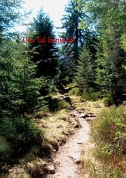 Cover von Das Tal Irminsul