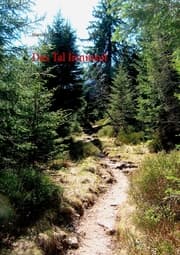 Cover von Das Tal Irminsul
