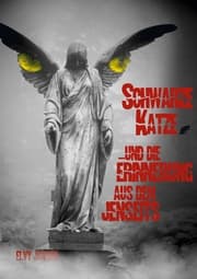 Cover von Schwarze Katze...und die Erinnerung aus dem Jenseits