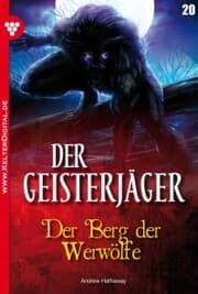 Cover von Der Geist von Blenford Castle