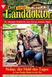 Cover von Nolan, der Held des Tages