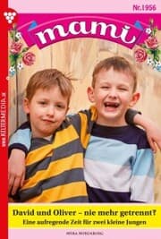 Cover von David und Oliver - nie mehr getrennt?