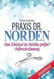Cover von Praxis Dr. Norden Doppelband 3