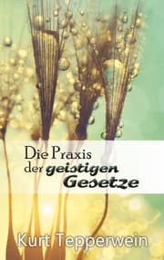 Cover von Die Praxis der geistigen Gesetze