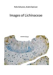Cover von Images of Lichinaceae