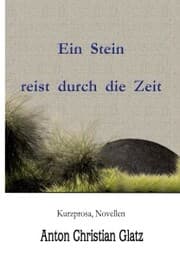 Cover von Ein Stein reist durch die Zeit