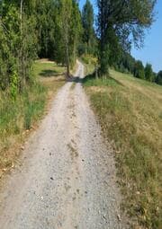 Cover von Der Weg des Geldes