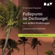 Cover von Fußspuren im Dschungel und andere Erzählungen