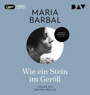Cover von Wie ein Stein im Geröll
