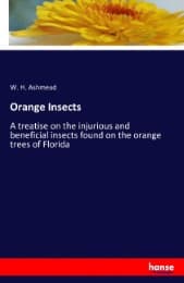 Cover von Orange Insects