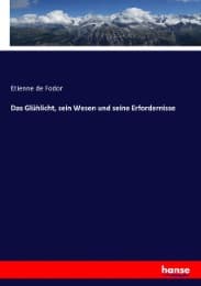 Cover von Das Glühlicht, sein Wesen und seine Erfordernisse