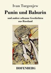Cover von Punin und Baburin