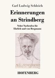 Cover von Erinnerungen an Strindberg