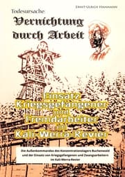 Cover von Todesursache - Vernichtung durch Arbeit