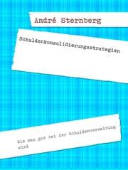Cover von Schuldenkonsolidierungsstrategien