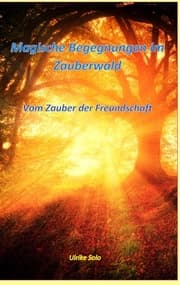 Cover von Magische Begegnungen im Zauberwald