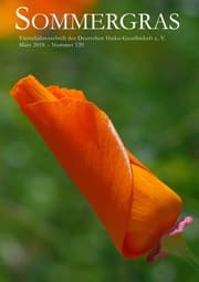 Cover von Sommergras