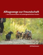 Cover von Alltagswege zur Freundschaft