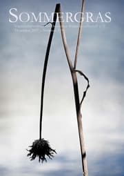 Cover von Sommergras 119