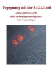 Cover von Begegnung mit der Endlichkeit