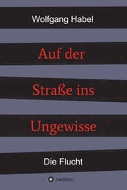 Cover von Auf der Straße ins Ungewisse